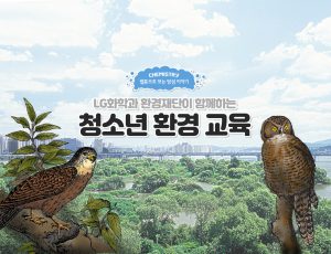 웹툰으로 보는 밤섬이야?#5 청소?환경 교육