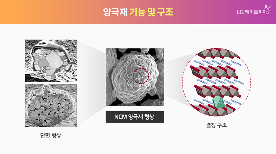 양극재 기능 및 구조